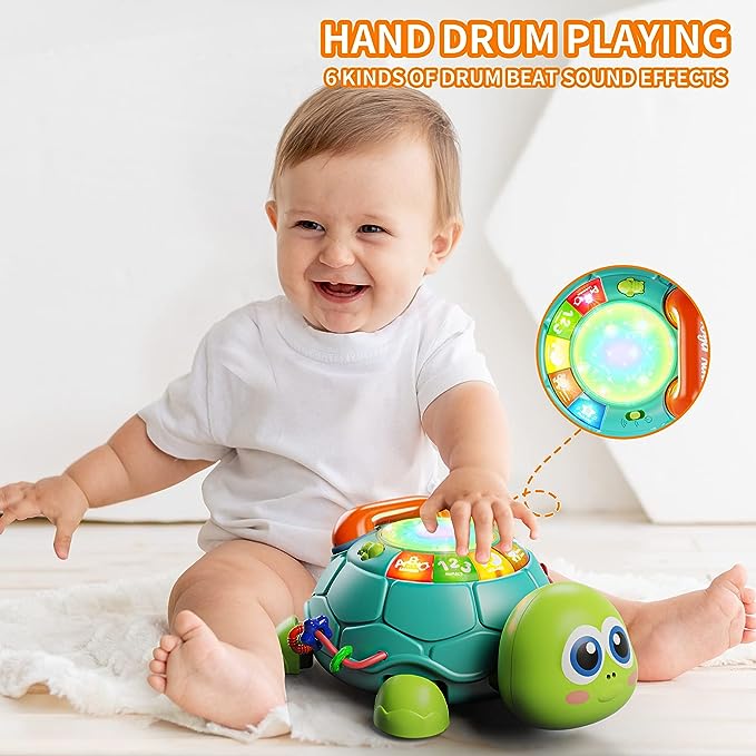 Musical Turtle Crawling Toys With Light & Sound – The Ridz